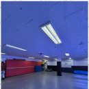 용인대수석태권도 이미지