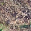 이웃사촌 작은도서관 이미지