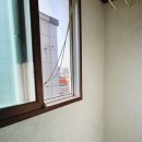 낭만개구리공인중개사사무소 이미지