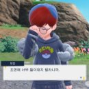 디디아이 이미지