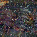 복코찜이 | 자가늑연골복코수술 오똑한 코끝 개선을