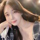히랑 티스토리