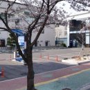 파스구찌(울산본점) 이미지