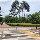 판교하나부동산중개 이미지