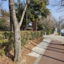 광주시립미술관 하정웅미술관 | 광주여행 광주시립미술관 하정웅미술관 무료개방