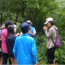 충북알프스자연휴양림 이미지