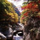제295차 정기산행(2015. 11. 1) 오대산국립공원 소금강계곡 이미지