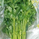 성봉농장 이미지