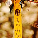 산행길 이미지