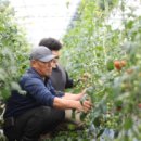 부자농장 이미지