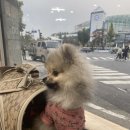 퍼니펫 동물병원 이미지