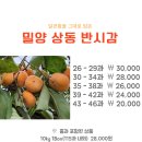 반시홍시 이미지