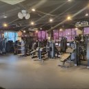 LEO GYM 이미지
