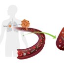 다니엘웰니스의원 이미지