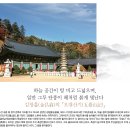 하늘그루 이미지