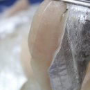 동해미락 이미지