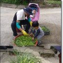 원애농장 이미지