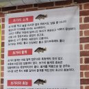 낭만쏘가리매운탕