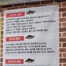 낭만쏘가리매운탕 이미지