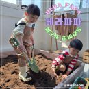 [별내] 베라파파 ; 별내아이랑 프라이빗키즈룸