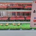 송도풍년갈비