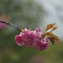 한진목장 이미지