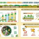 수림산업