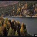 한마음재가요양센터 이미지