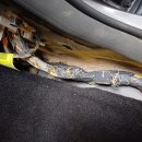 유통카서비스 이미지