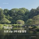 모카하라카페 | 도쿄 5박 6일 자유여행 코스 총정리.zip | 실제 일정과 여행 꿀팁