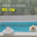 대구 근교 독채 풀빌라 아기랑 청도 나날 본채형 B3 평일 숙박 후기