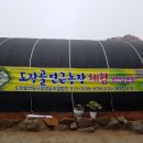 도장골농장 이미지