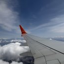 뉴페이스마트 | 2026 나고야 우먼스 마라톤 | 첫 풀코스 완주 후기 (1) 출발부터 스타트 전까지