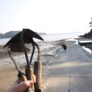 오오펜션 이미지