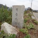 척동제 이미지