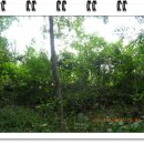 고산서당 터 이미지