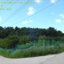 양덕동134 이미지