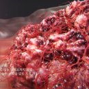 다원기술 주식회사