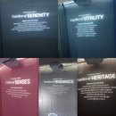 바이더블유뷰티 | 2025 컬리 뷰티 페스타 후기