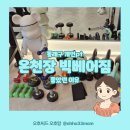 빅베어짐 이미지