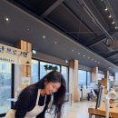 토토렌트카(주) | [제주여행/1일차] 미도리제주, 돌싱글즈제주베이킹, 토토아뜰리에베이킹클래스, 제주숙소추천, 곶자왈...