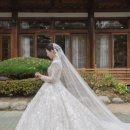 미라벨제주 | 부산·울산·창원 웨딩 요즘 뭐가 뜰까? 그랜드블랑·농심호텔·르엘컨벤션 실제 후기 총정리
