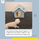 아따멍멍 이미지