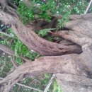 신현중학교 이미지