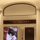 지라인 | 어니스트서울 신세계 강남점 매장 웨딩밴드 랩다이아몬드 프로포즈링 매장 후기