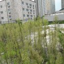 봉방동사무소 이미지