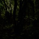 제주에내집 이미지