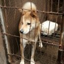 길만농장 이미지