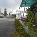 세종로 45번길 이미지