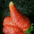 한마음PC 이미지